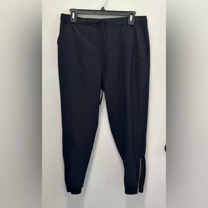 Albion Fit Jet Setter Joggers